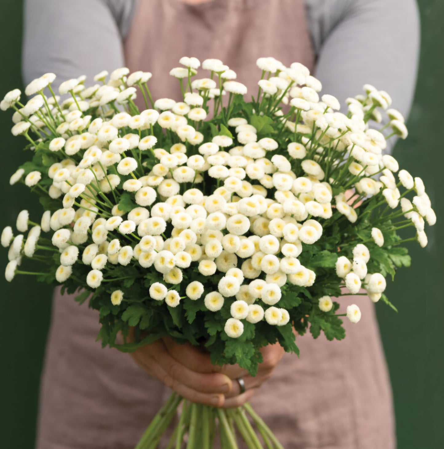 Feverfew Vegmo Snowball Plugs (4)