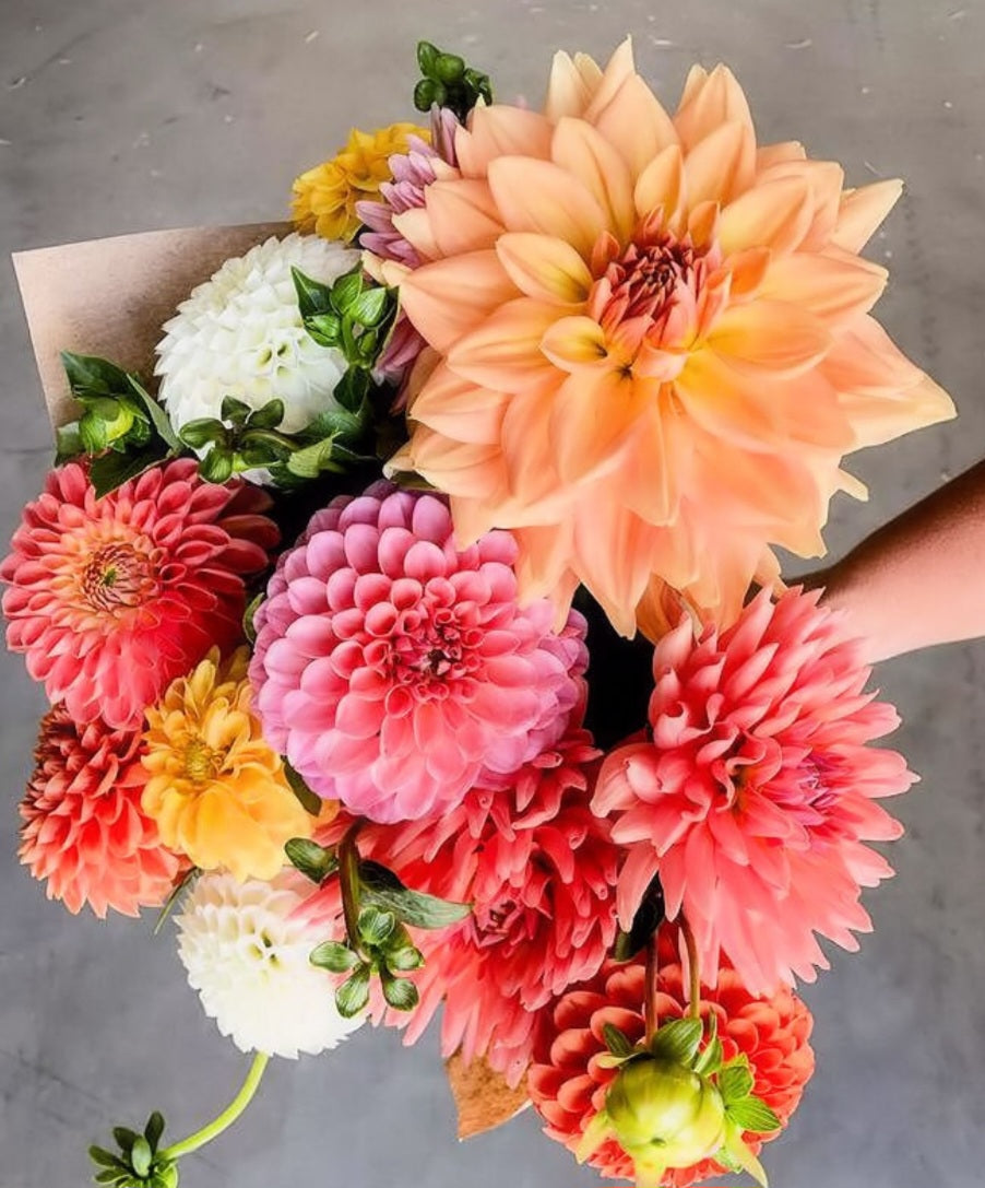 Weekly Specialty Bouquet Subscription: 6-Week Fall Session